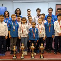 Büyükşehirli satranççılardan 3 şampiyonluk 