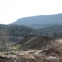 Çevre katliamına 5 milyon TL ceza 