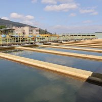 Su’da tasarruf dönemi  