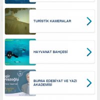 Hayvanat Bahçesini evden ziyaret 