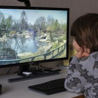 Hayvanat Bahçesini evden ziyaret 