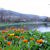 Bursa’da parklar sağlık için kapatıldı 