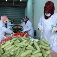 Mutfakta pazarda markette, Büyükşehir sizinle  