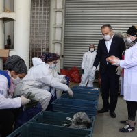 Büyükşehir halden anlar  