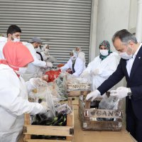 Büyükşehir halden anlar  