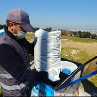 Sokak hayvanları Büyükşehir güvencesinde  