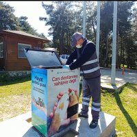 Sokak hayvanları Büyükşehir güvencesinde  