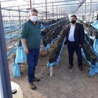 Çiftçiye destek sürüyor 