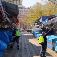 Covid-19’a da haşereye de geçit yok  