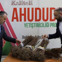 125 bin ahududu fidanı üreticiyle buluştu 