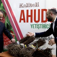 125 bin ahududu fidanı üreticiyle buluştu 