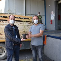 Yaban mersinleri Bursa’da filizleniyor 