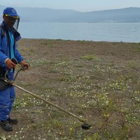 Mudanya ve Gemlik plajları ilçelere emanet 