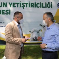 Büyükşehir’den hayvancılığa destek  