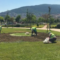 Srebrenica Çiçeği’ yeniden hayat buluyor 