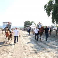 Atlı sporlar Büyükşehir’le şahlanıyor 