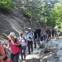 Doğada adımlarımız artık ‘mesafeli’ 