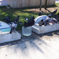 Mudanya’da sahillere estetik dokunuş 