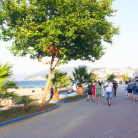 Mudanya’da sahillere estetik dokunuş 