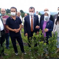 Toprak Büyükşehir’le bereketleniyor 