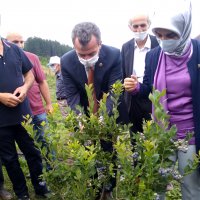 Toprak Büyükşehir’le bereketleniyor 