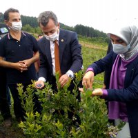 Toprak Büyükşehir’le bereketleniyor 