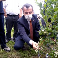 Toprak Büyükşehir’le bereketleniyor 