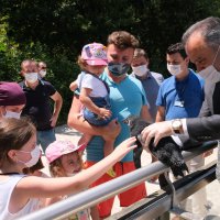 Penguen ailesinde yavru sevinci 