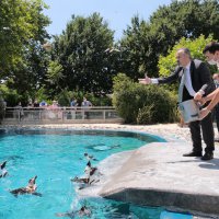 Penguen ailesinde yavru sevinci 