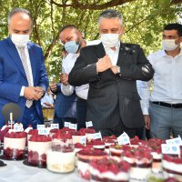 Büyükşehir destekliyor, çiftçi kazanıyor  