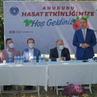 Büyükşehir destekliyor, çiftçi kazanıyor  