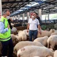 Başkan Aktaş’dan modern Kurban Pazarı’na ziyaret 
