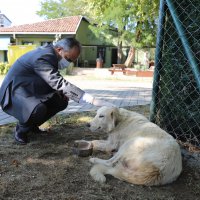 Can dostlarına Büyükşehir şefkati 