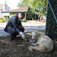 Can dostlarına Büyükşehir şefkati 