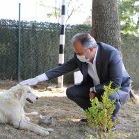Can dostlarına Büyükşehir şefkati 