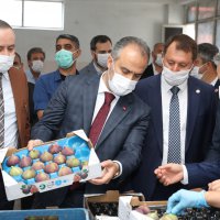 Bursa’dan dünya pazarlarına siyah incir 