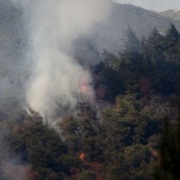 İtfaiyenin kucağında hayata tutundu 