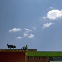 Türkiye’nin ilk sanal fotoğraf festivali başlıyor 