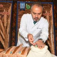 Buğdayın atası artık Bursa’da üretiliyor  