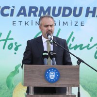 Armut bahçelerinde hasat bereketi 