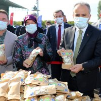 Armut bahçelerinde hasat bereketi 