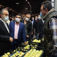 Büyükşehir ‘Hal’den anlar  