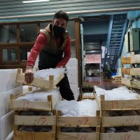 Büyükşehir ‘Hal’den anlar  