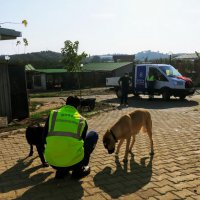 İzmir’deki can dostlar da unutulmadı 