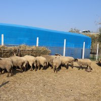 Çaresizlik Büyükşehir’le umuda dönüşüyor  