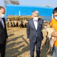 Çaresizlik Büyükşehir’le umuda dönüşüyor  