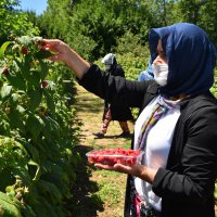 Kadınlar Büyükşehir’le daha güçlü 