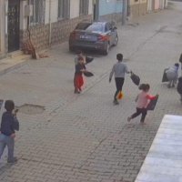 Küçüklerden büyüklere çevre dersi  