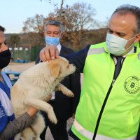 Bursa’nın emekli hayvanlar çiftliği 