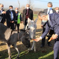 Bursa’nın emekli hayvanlar çiftliği 